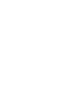 Nouveau Noir